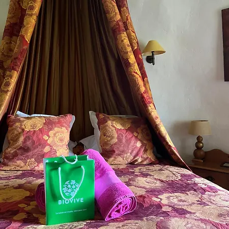 Chateau Cornu 4* Vignieu